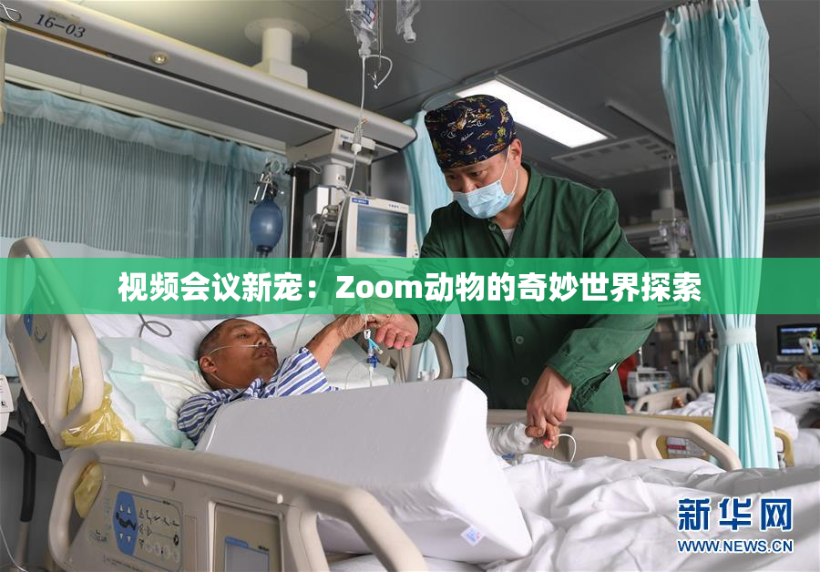 视频会议新宠：Zoom动物的奇妙世界探索
