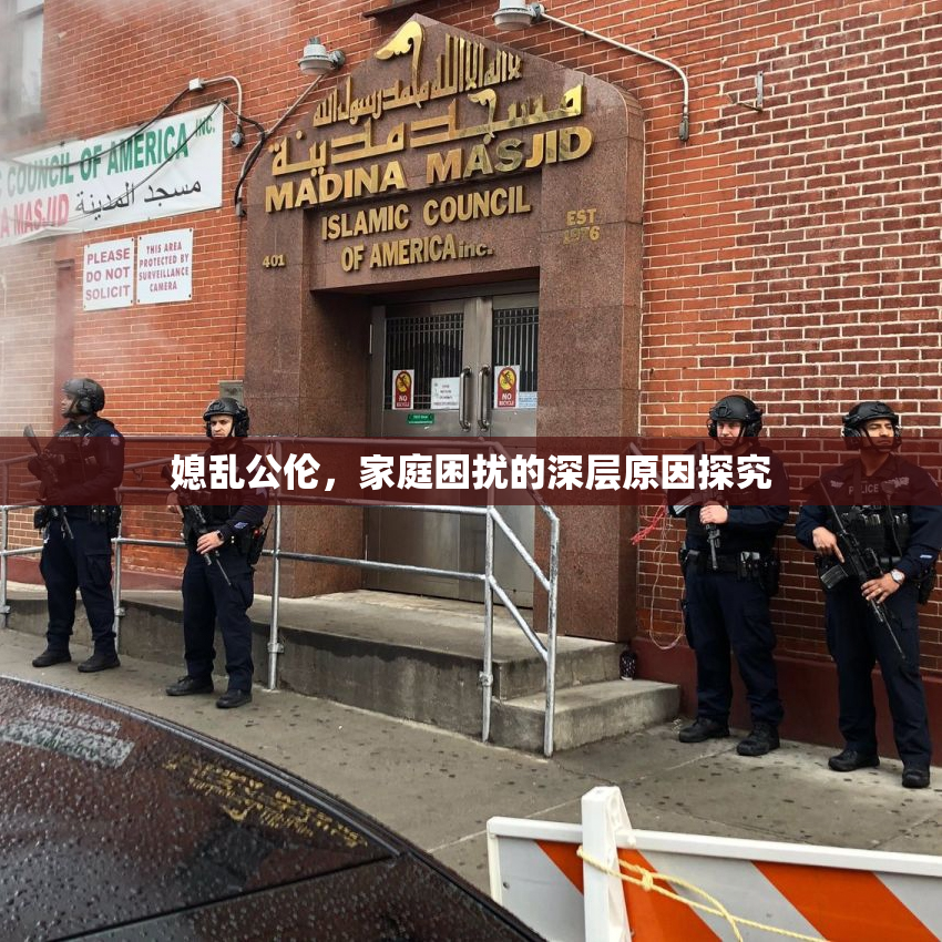 媳乱公伦，家庭困扰的深层原因探究