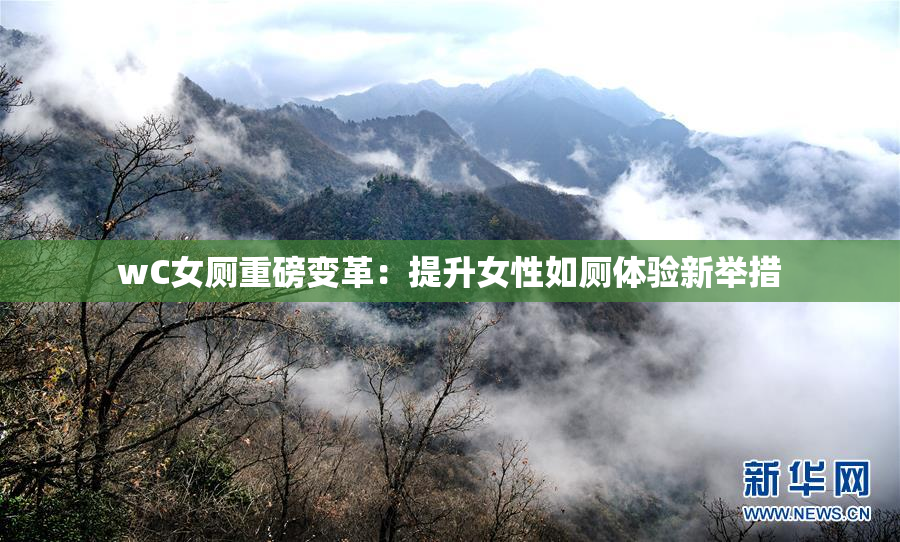 wC女厕重磅变革：提升女性如厕体验新举措