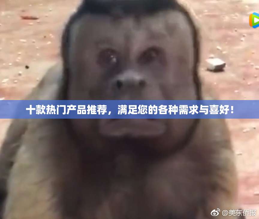 十款热门产品推荐，满足您的各种需求与喜好！