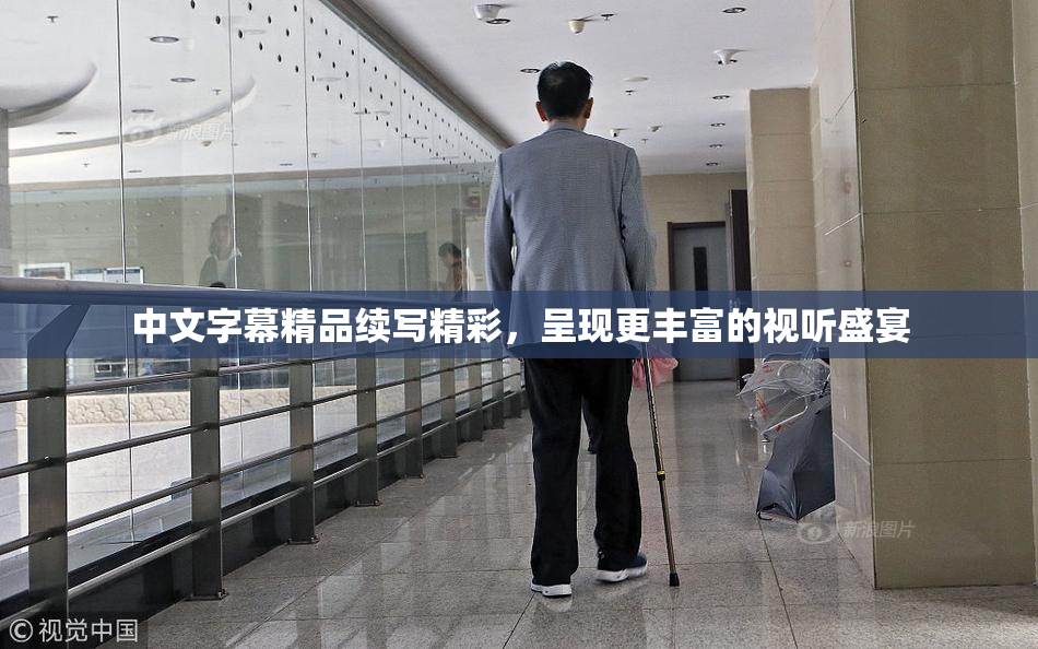 中文字幕精品续写精彩，呈现更丰富的视听盛宴