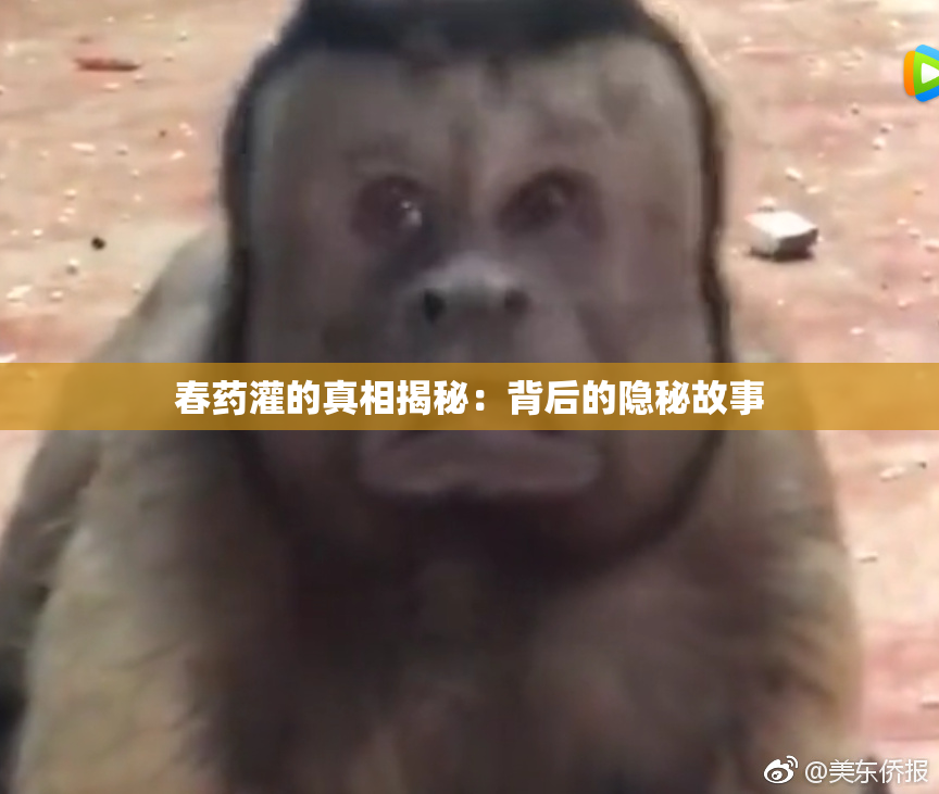 春药灌的真相揭秘：背后的隐秘故事