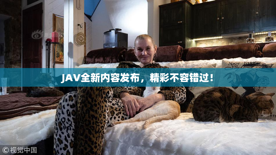 JAV全新内容发布，精彩不容错过！