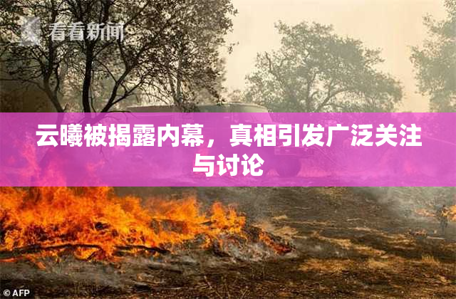 云曦被揭露内幕，真相引发广泛关注与讨论