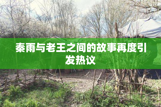 秦雨与老王之间的故事再度引发热议