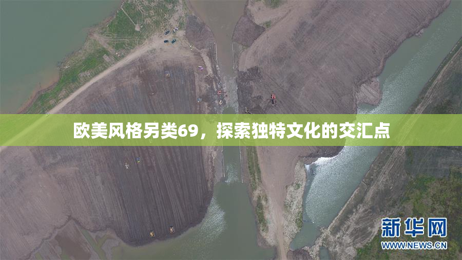 欧美风格另类69，探索独特文化的交汇点