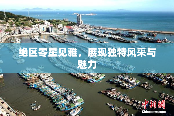 绝区零星见雅，展现独特风采与魅力