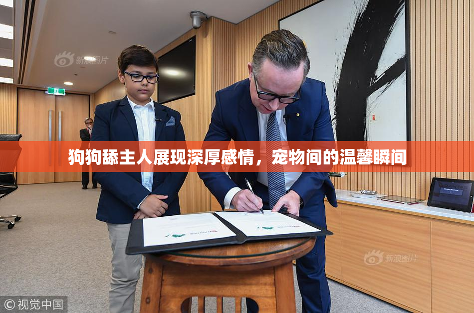 狗狗舔主人展现深厚感情，宠物间的温馨瞬间
