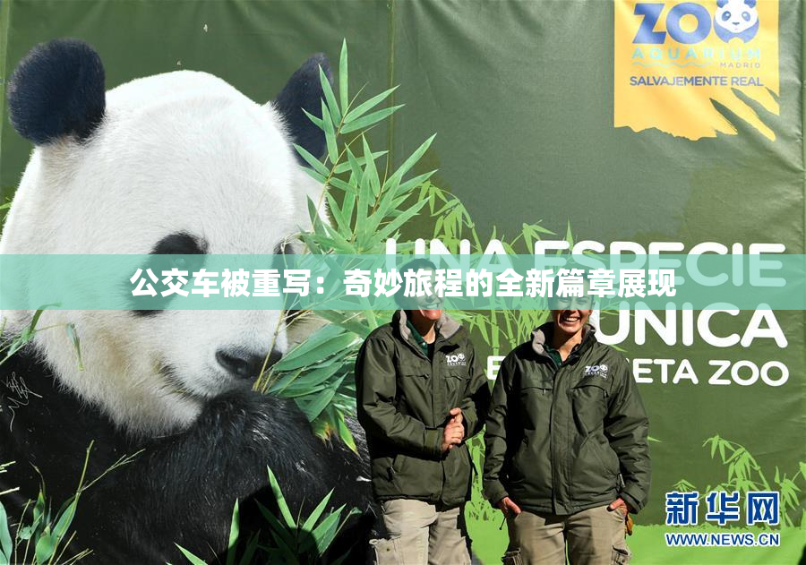 公交车被重写：奇妙旅程的全新篇章展现