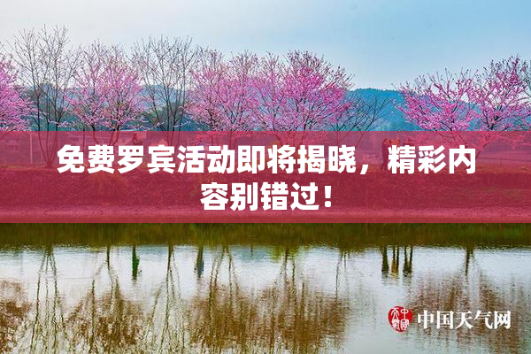 免费罗宾活动即将揭晓，精彩内容别错过！