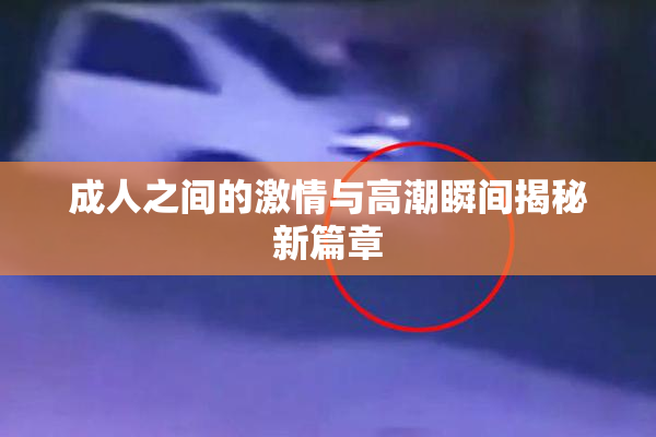 成人之间的激情与高潮瞬间揭秘新篇章