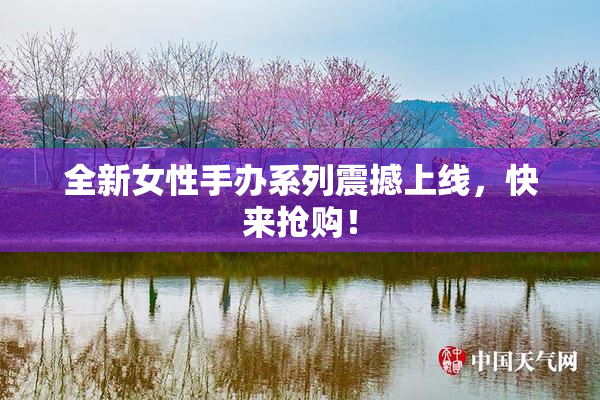 全新女性手办系列震撼上线，快来抢购！