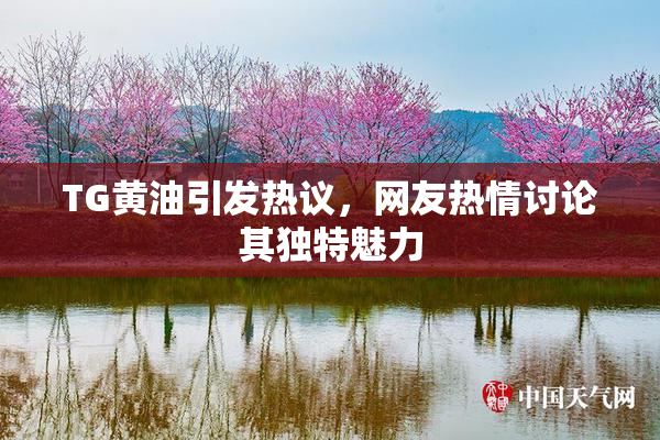 TG黄油引发热议，网友热情讨论其独特魅力