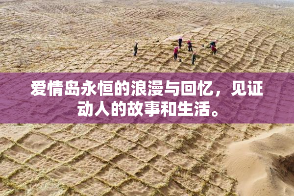 爱情岛永恒的浪漫与回忆，见证动人的故事和生活。