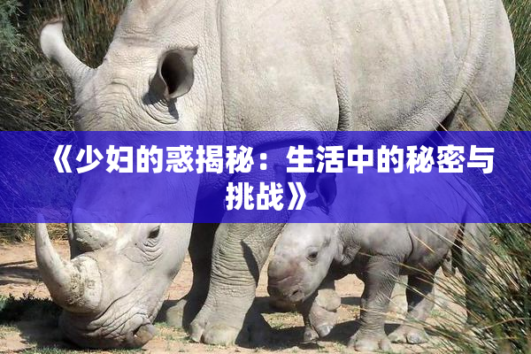 《少妇的惑揭秘：生活中的秘密与挑战》