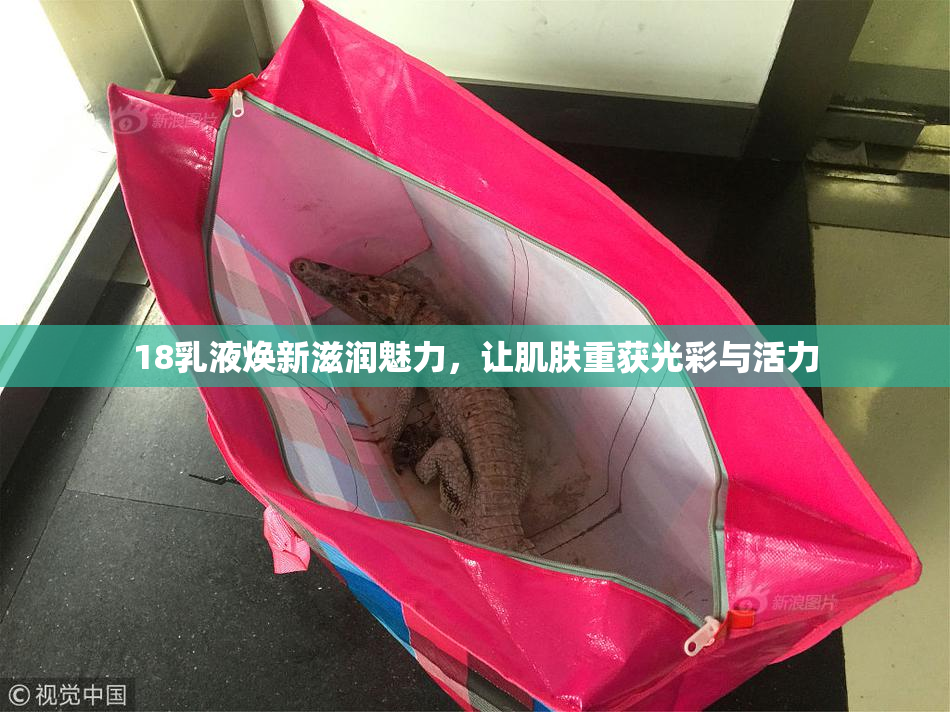 18乳液焕新滋润魅力，让肌肤重获光彩与活力