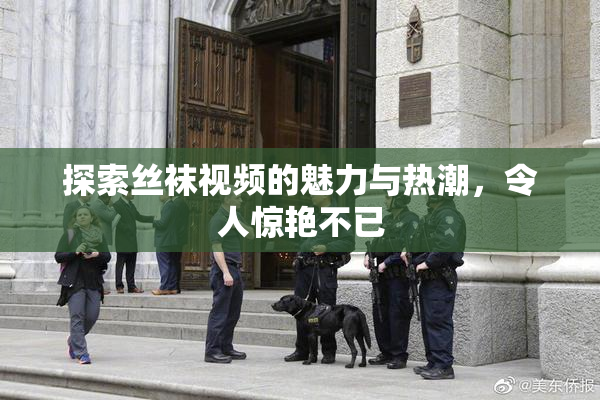 探索丝袜视频的魅力与热潮，令人惊艳不已