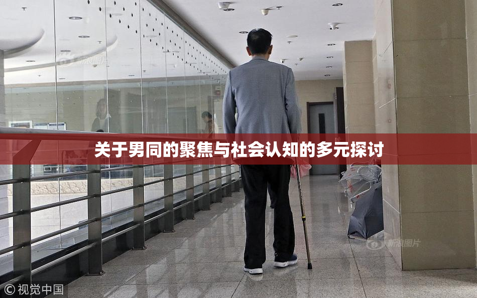 关于男同的聚焦与社会认知的多元探讨