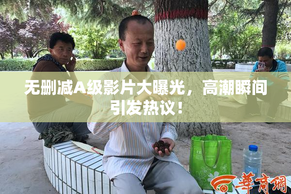 无删减A级影片大曝光，高潮瞬间引发热议！