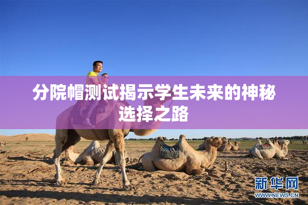 分院帽测试揭示学生未来的神秘选择之路