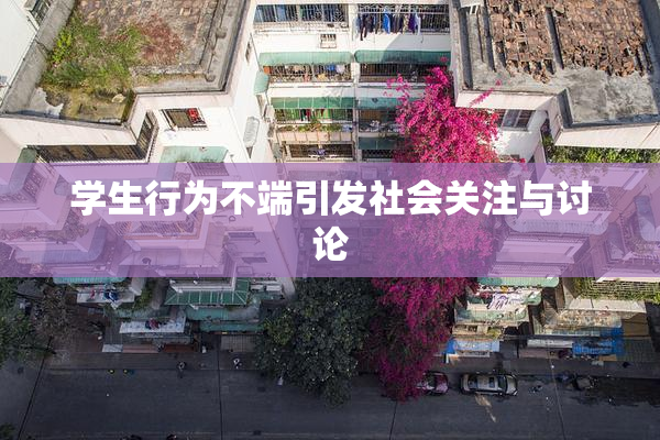学生行为不端引发社会关注与讨论