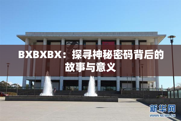 BXBXBX：探寻神秘密码背后的故事与意义