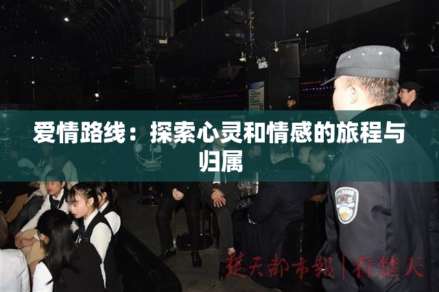 爱情路线：探索心灵和情感的旅程与归属