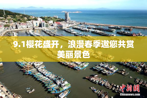 9.1樱花盛开，浪漫春季邀您共赏美丽景色