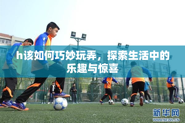 h该如何巧妙玩弄，探索生活中的乐趣与惊喜