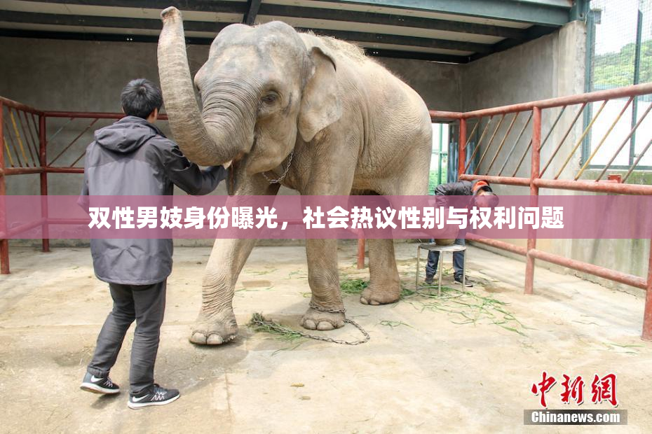 双性男妓身份曝光，社会热议性别与权利问题