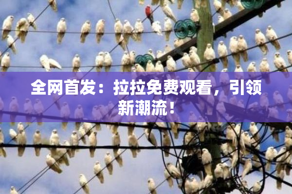 全网首发：拉拉免费观看，引领新潮流！