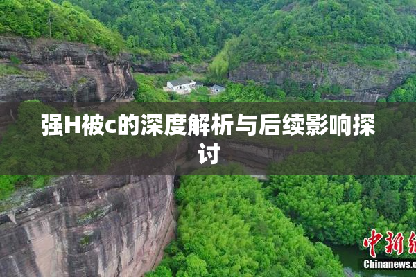 强H被c的深度解析与后续影响探讨