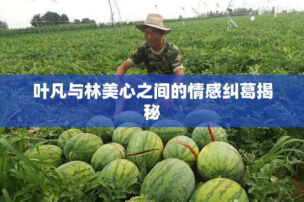 叶凡与林美心之间的情感纠葛揭秘