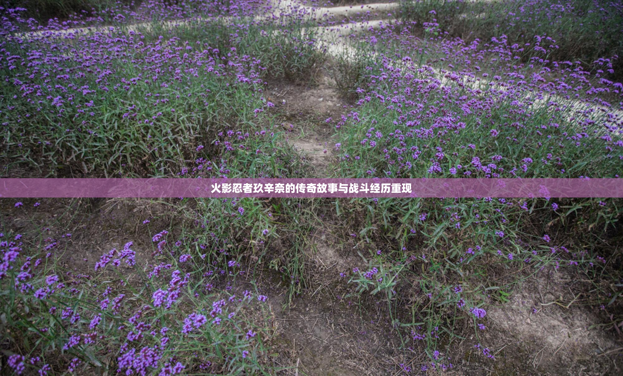 火影忍者玖辛奈的传奇故事与战斗经历重现