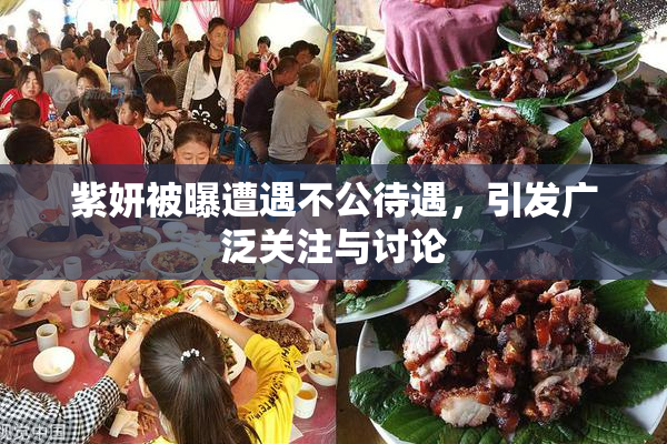 紫妍被曝遭遇不公待遇，引发广泛关注与讨论
