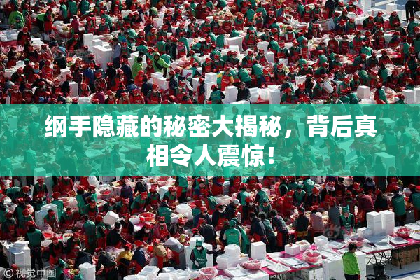 纲手隐藏的秘密大揭秘，背后真相令人震惊！