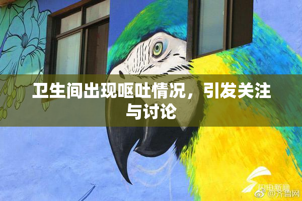 卫生间出现呕吐情况，引发关注与讨论