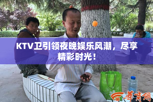 KTV卫引领夜晚娱乐风潮，尽享精彩时光！