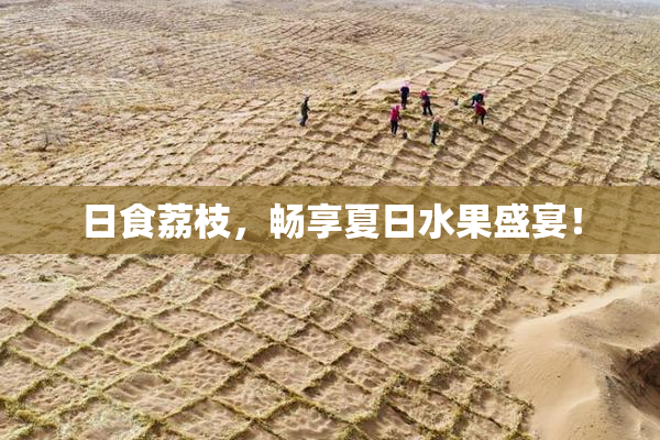 日食荔枝，畅享夏日水果盛宴！