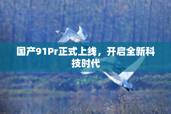 国产91Pr正式上线，开启全新科技时代
