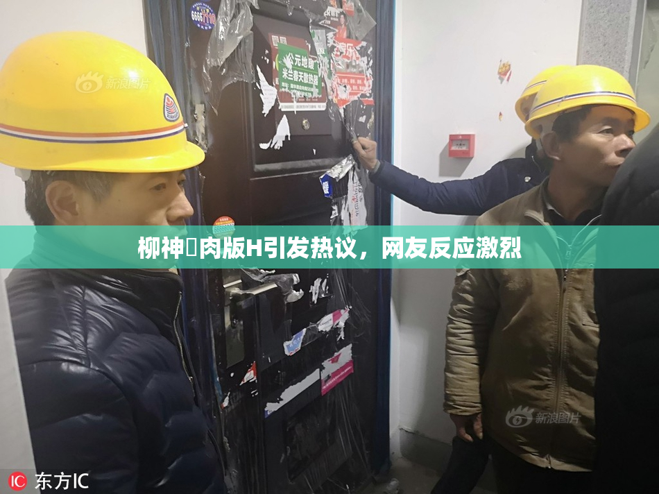 柳神婬肉版H引发热议，网友反应激烈