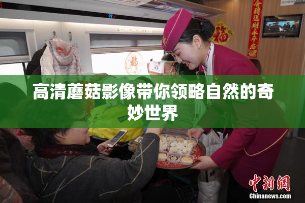 高清蘑菇影像带你领略自然的奇妙世界