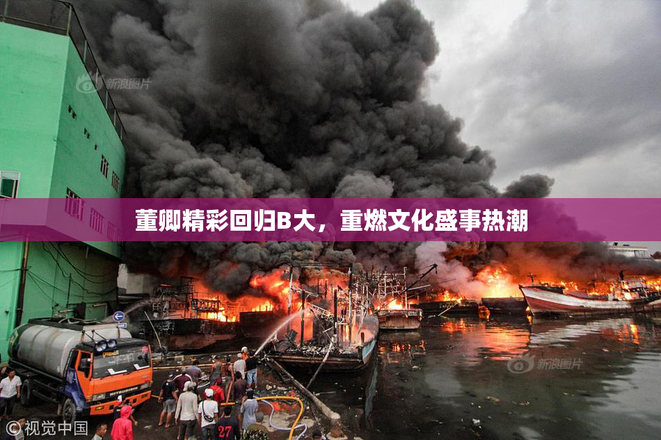 董卿精彩回归B大，重燃文化盛事热潮