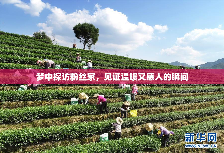 梦中探访粉丝家，见证温暖又感人的瞬间