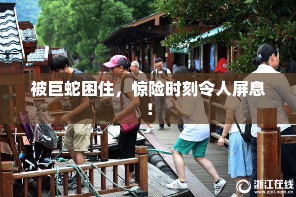 被巨蛇困住，惊险时刻令人屏息！