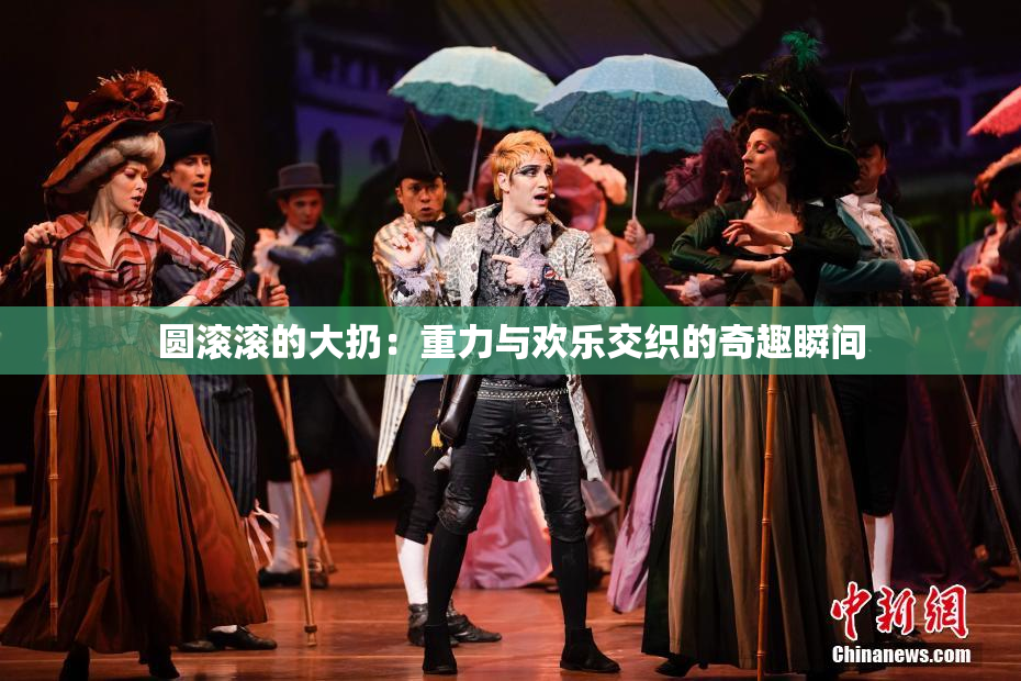 圆滚滚的大扔：重力与欢乐交织的奇趣瞬间