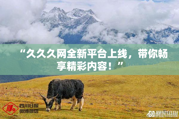 “久久久网全新平台上线，带你畅享精彩内容！”