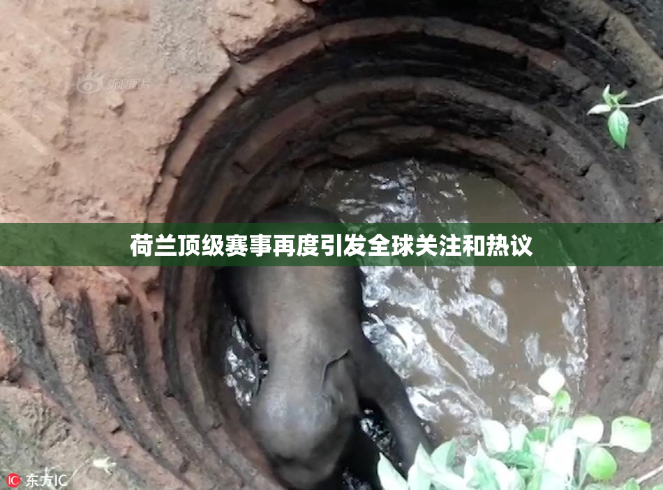 荷兰顶级赛事再度引发全球关注和热议