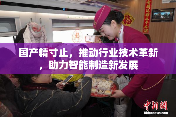 国产精寸止，推动行业技术革新，助力智能制造新发展