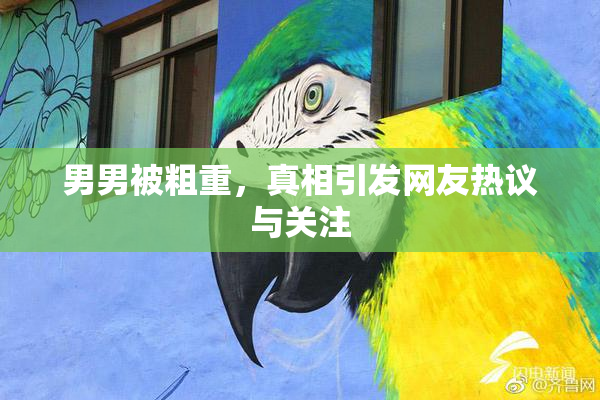 男男被粗重，真相引发网友热议与关注